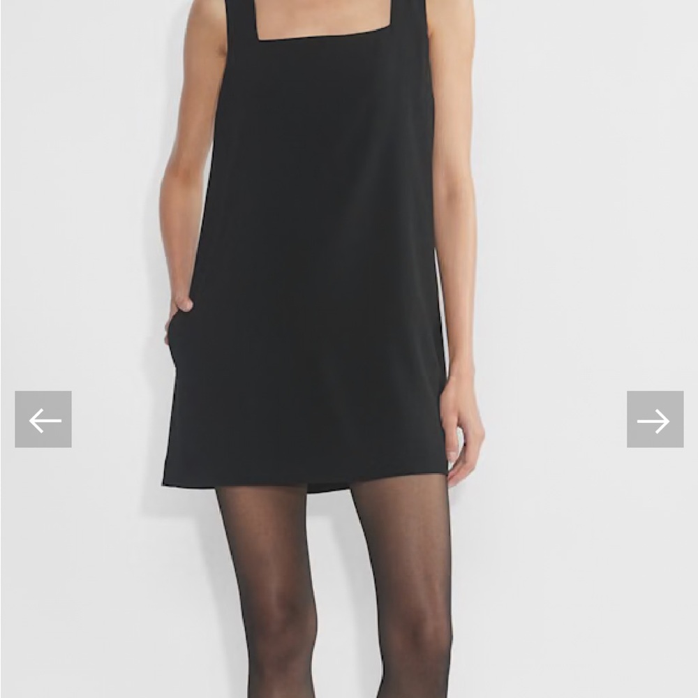 Aritzia Babaton Prestige Dress